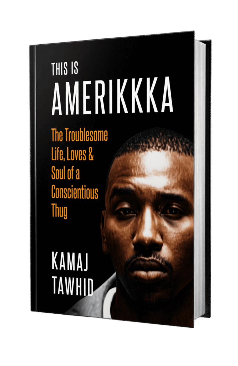 this is amerikkka 3d book cover
